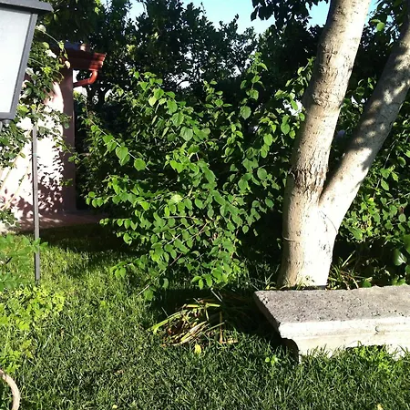 Il Giardino Segreto فندق مبيت وإفطار ترابيتيلو