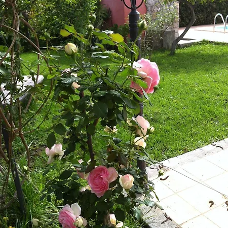 فندق مبيت وإفطار Il Giardino Segreto