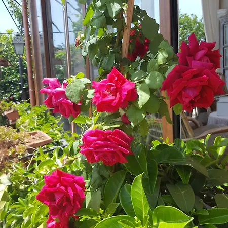 فندق مبيت وإفطار Il Giardino Segreto