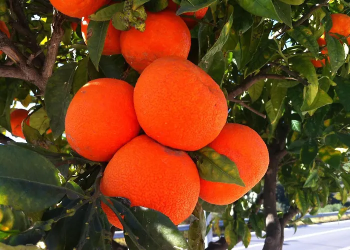 Bed & Breakfast Il Giardino Segreto 3*