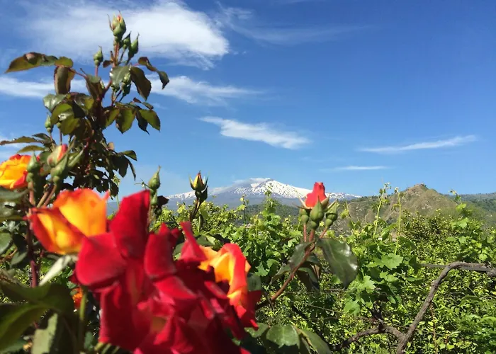 Il Giardino Segreto