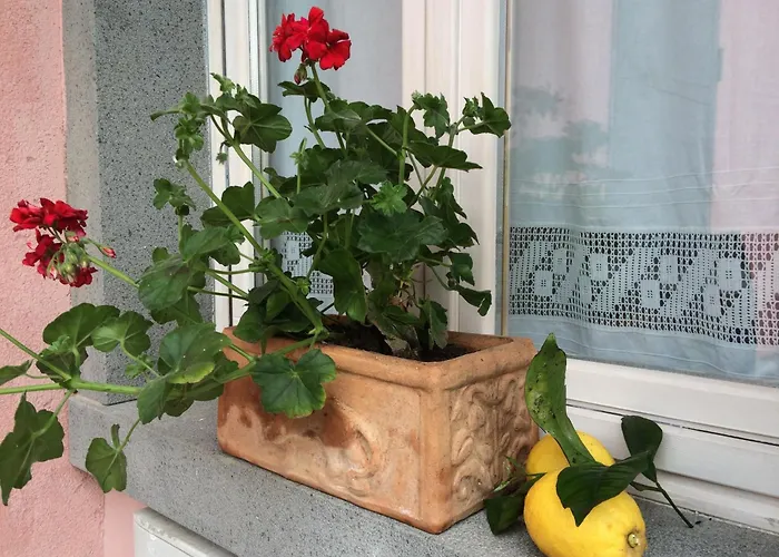 Il Giardino Segreto