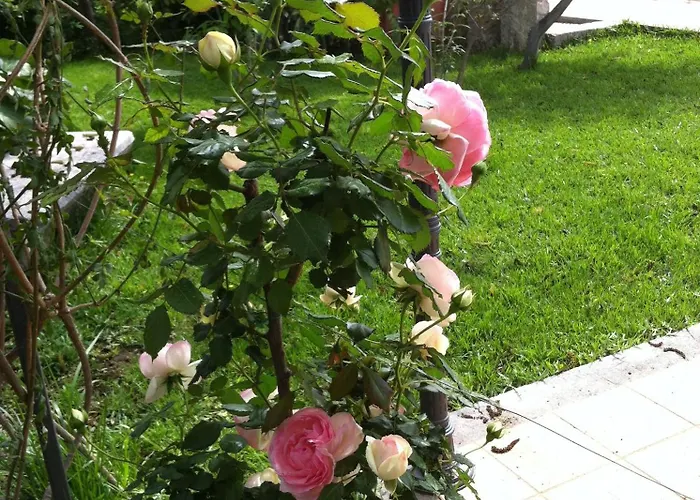 Bed & Breakfast Il Giardino Segreto