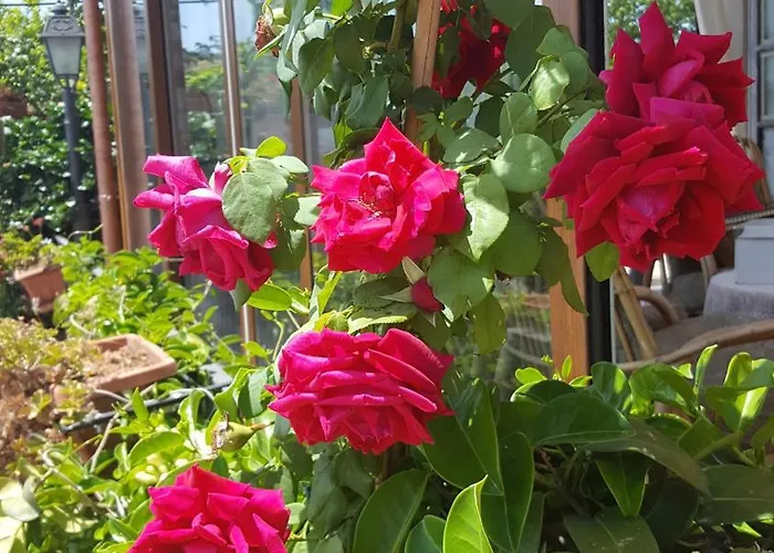 Bed & Breakfast Il Giardino Segreto