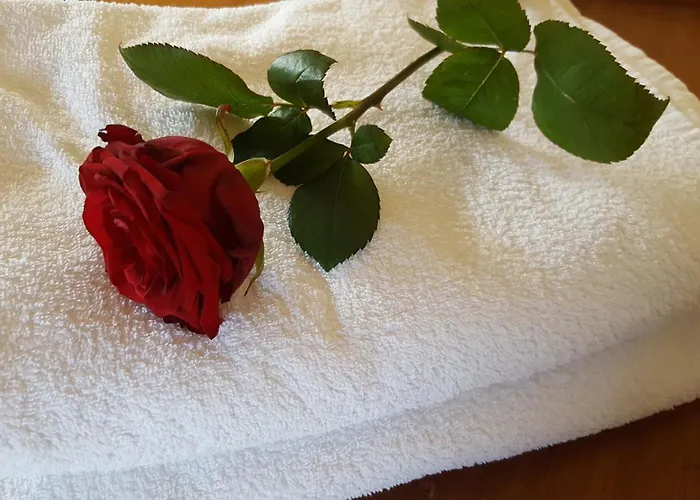 Il Giardino Segreto 3*